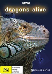 Dragons Alive - Complete Series (DVD)